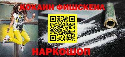 мдпв Камышлов