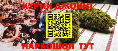 мдпв Камышлов